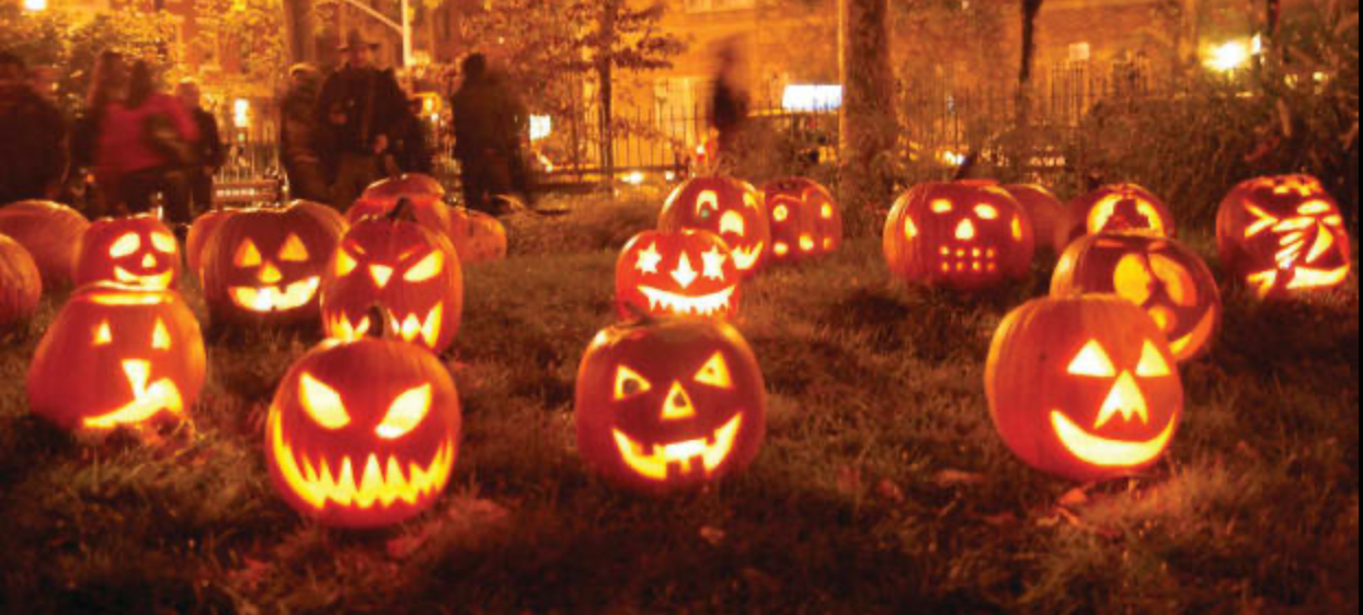 Halloween Shampoo Bundles