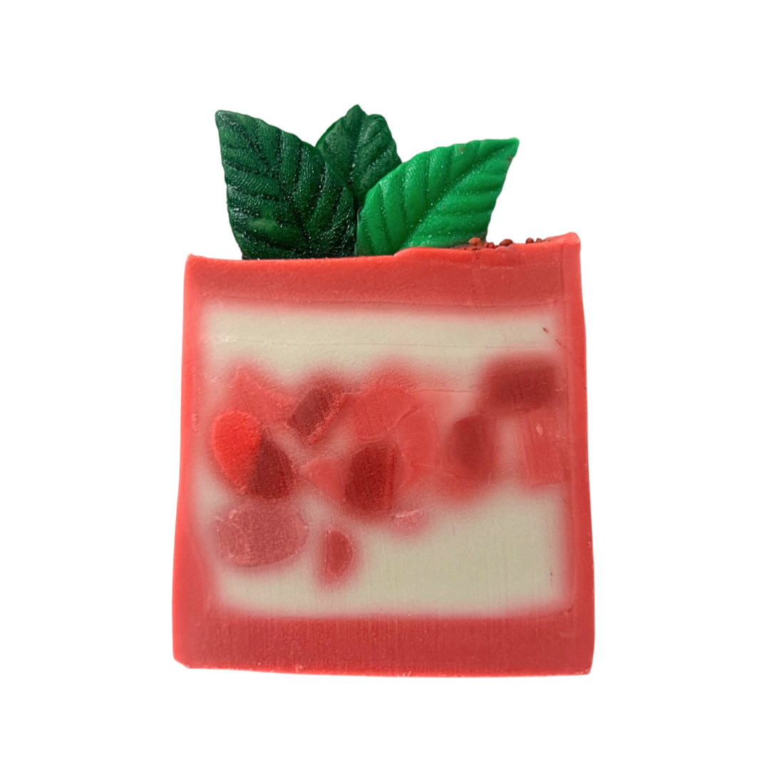 Pomegranate Shampoo Bar