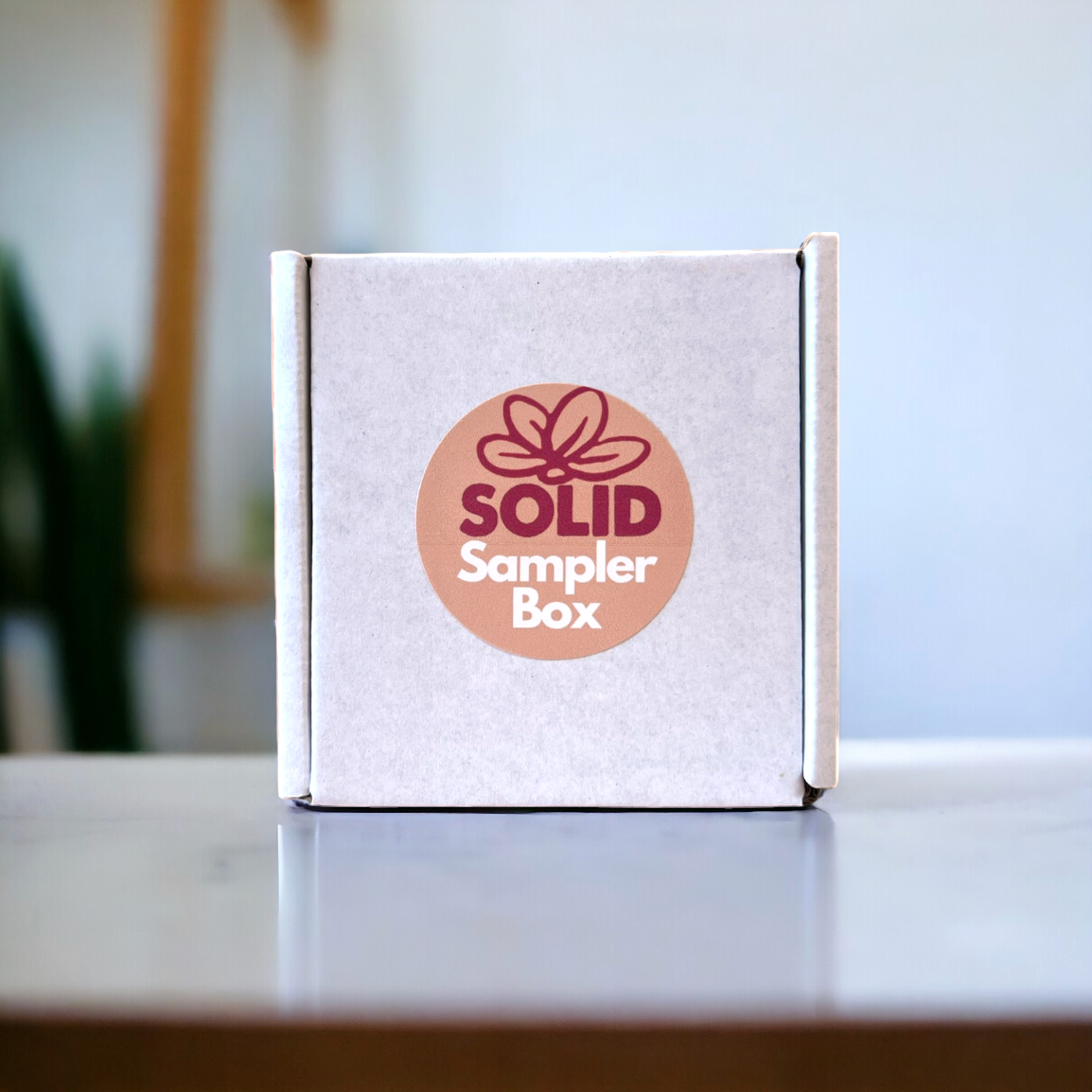 Solid Sampler Set Solid Sampler Box – Solid Hair Care